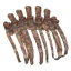 Asksvin Ribcage
