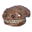 Asksvin Skull