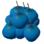 Blueberries