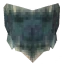 Carapace