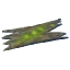 Ancient Bark