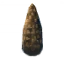 Fir Cone