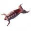 Hare Meat