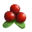 Lingonberries