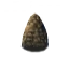 Pine Cone