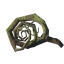 Root