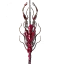 Staff of Fracturing
