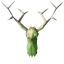 Greydwarf Shaman