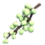 Vineberry Cluster