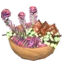 Ashlands Gourmet Bowl