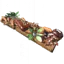Swamp Dweller's Delight