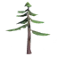 Timberwood Sapling