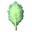 Kale