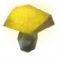 Yellow Mushroom