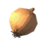 Onion