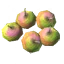 Bukeperries