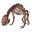 Asksvin Skeleton