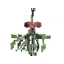 Mistletoe