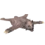Bearskin Rug
