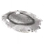 Sealskin Rug