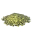 Coin Pile